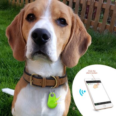 GPS-трекер для відстеження домашніх тварин