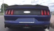 Спойлер багажника Ford Mustang GT (15-19 г.в.)