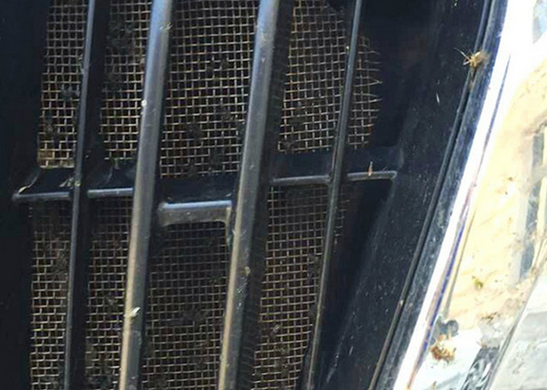 Сітка під решітку радіатора Toyota LC Prado 150 (2017-...)